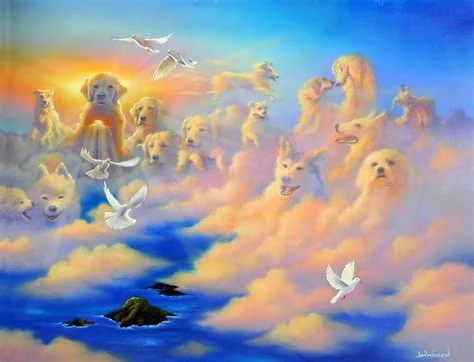 cielo de los animales 2025